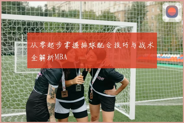从零起步掌握排球配合技巧与战术全解析MBA